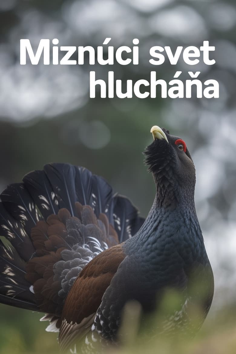 Disappearing World of the Capercaillie