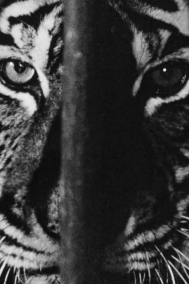 Marguerite Duras in the Lions' Den