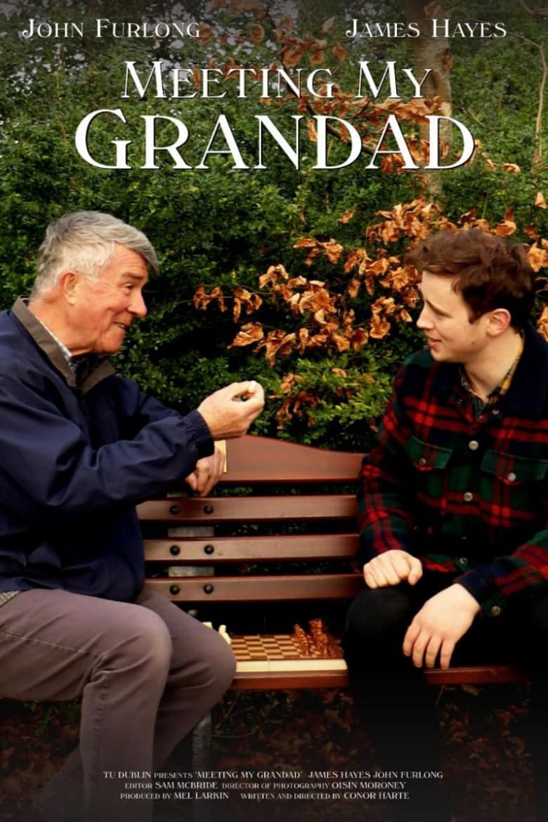 Meeting My Grandad