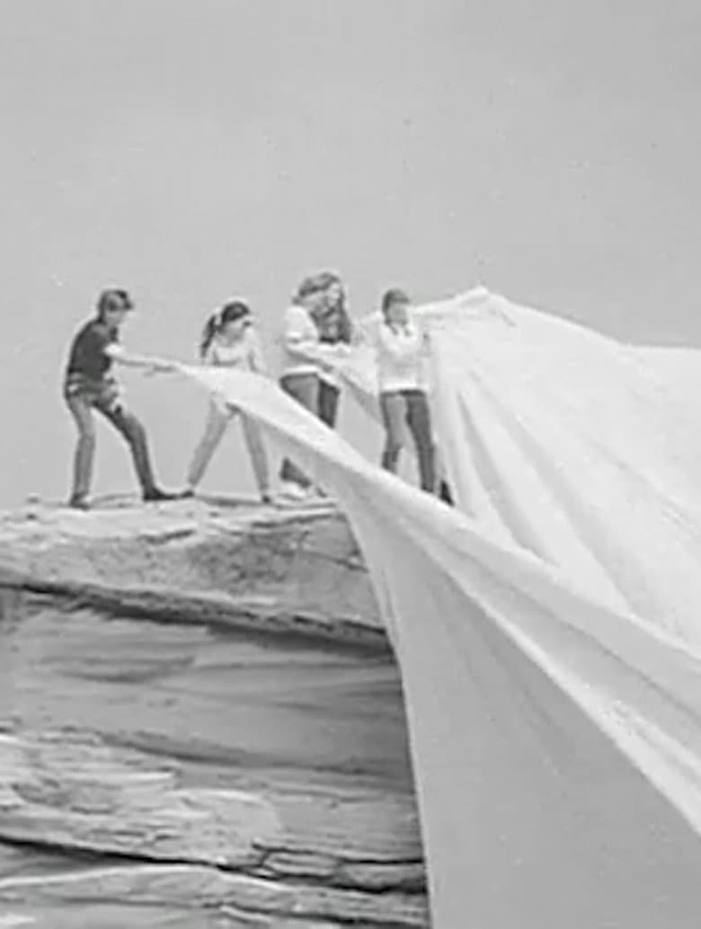 Operation Wrap Up: Christo In Australia