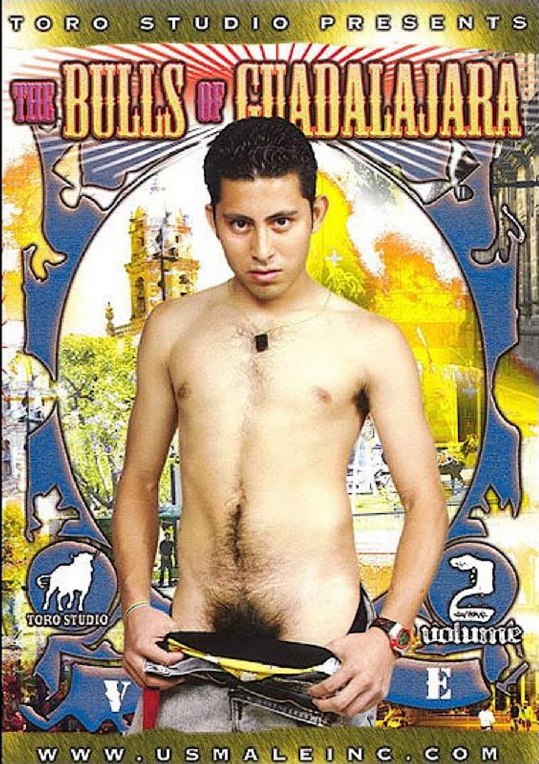 The Bulls of Guadalajara 2