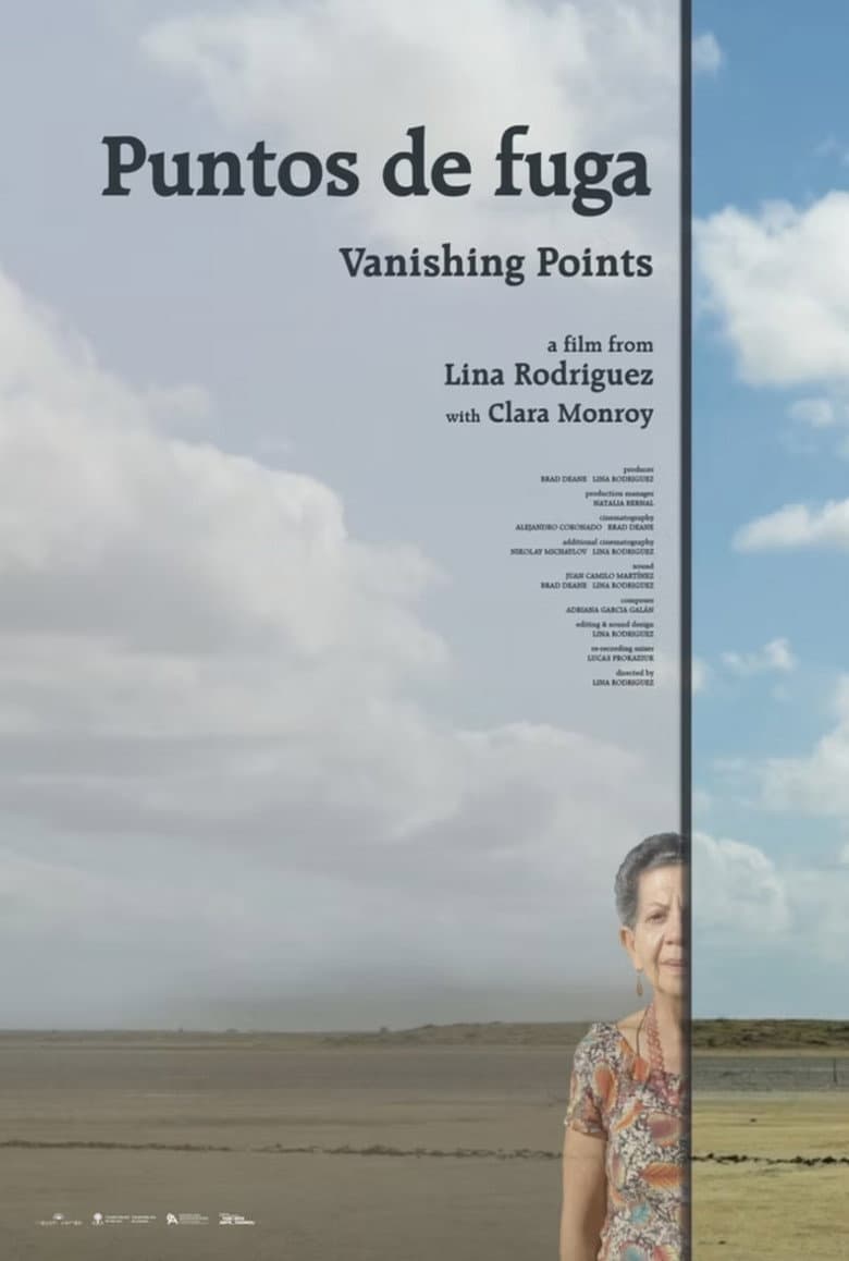Vanishing Points