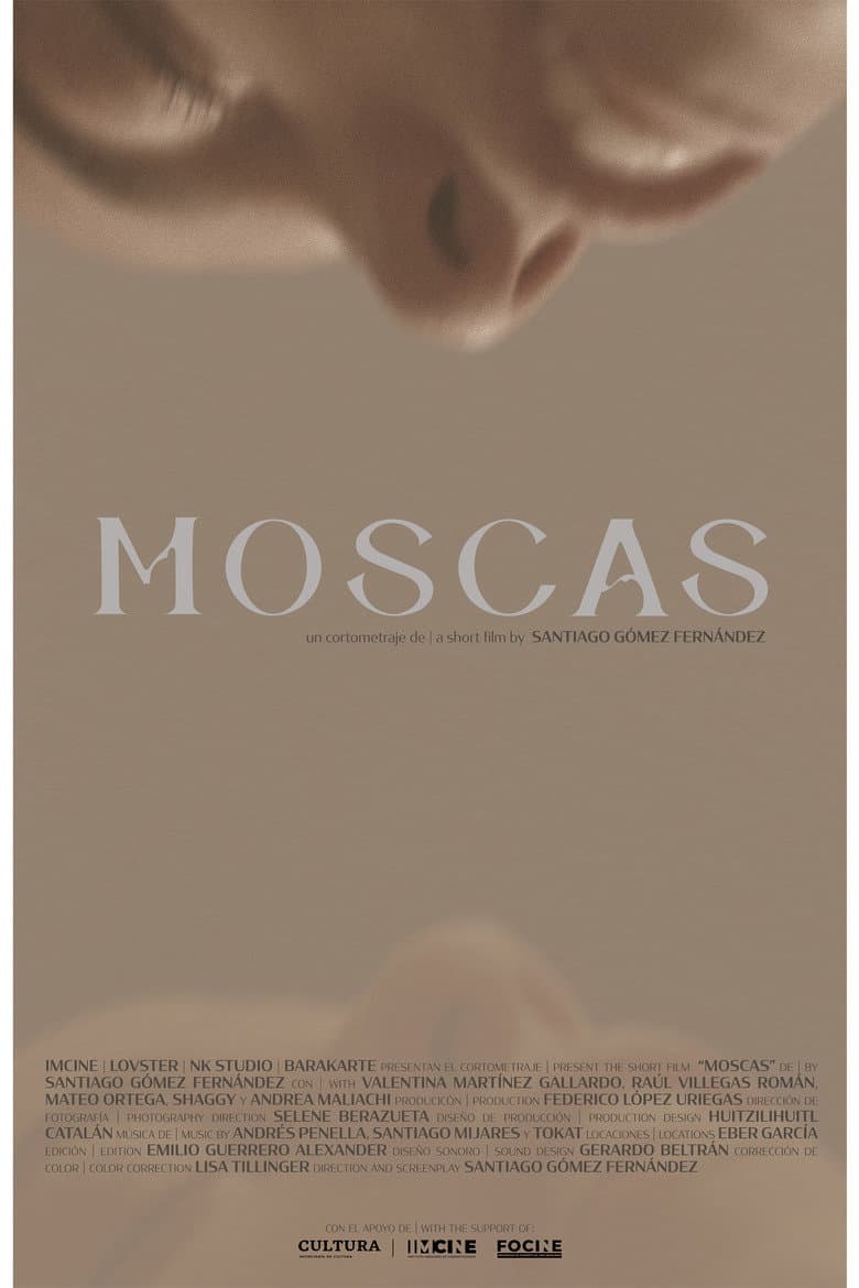 Moscas