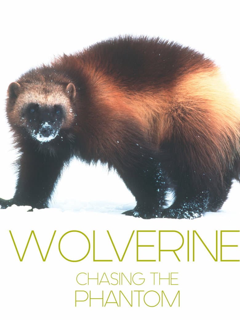 Wolverine - Chasing the Phantom