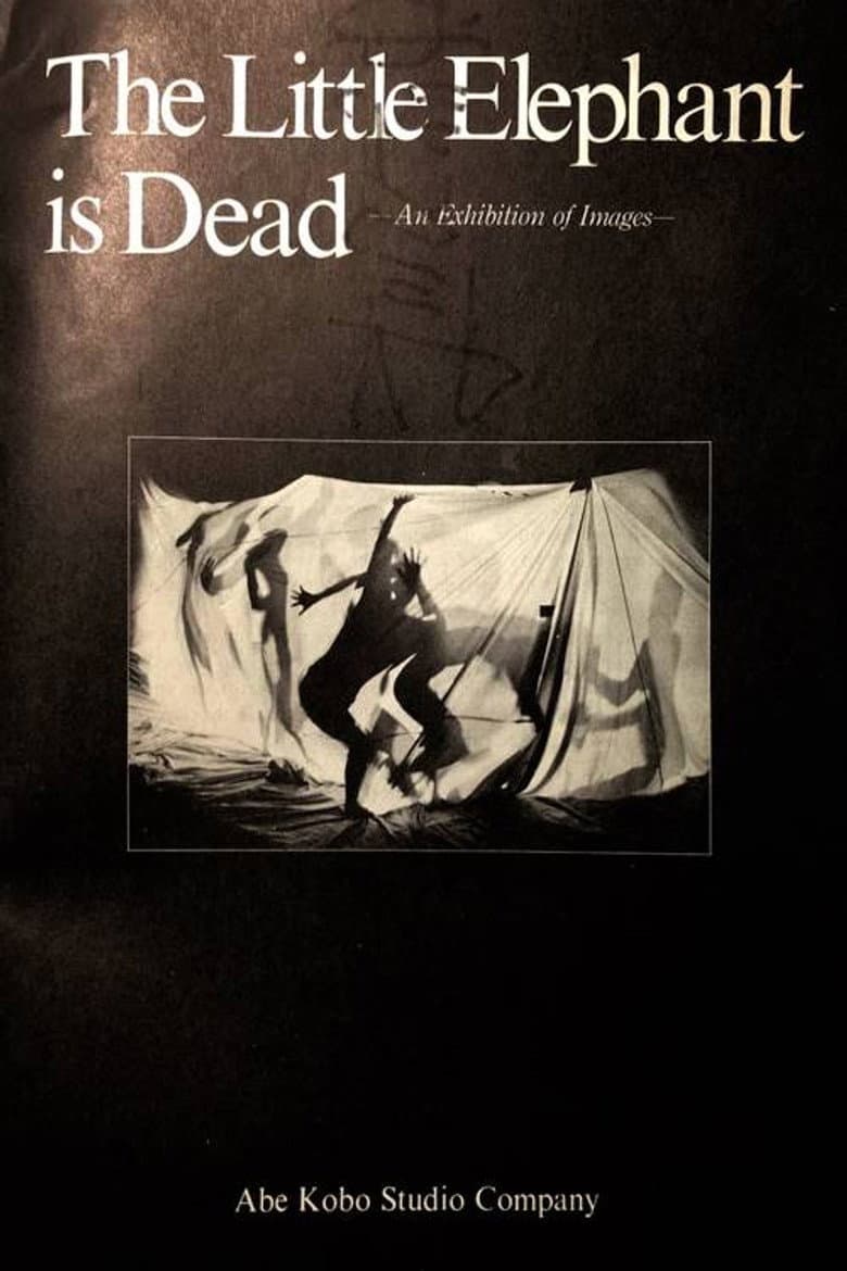 The Little Elephant is Dead / An Elephant Calf Is Dead