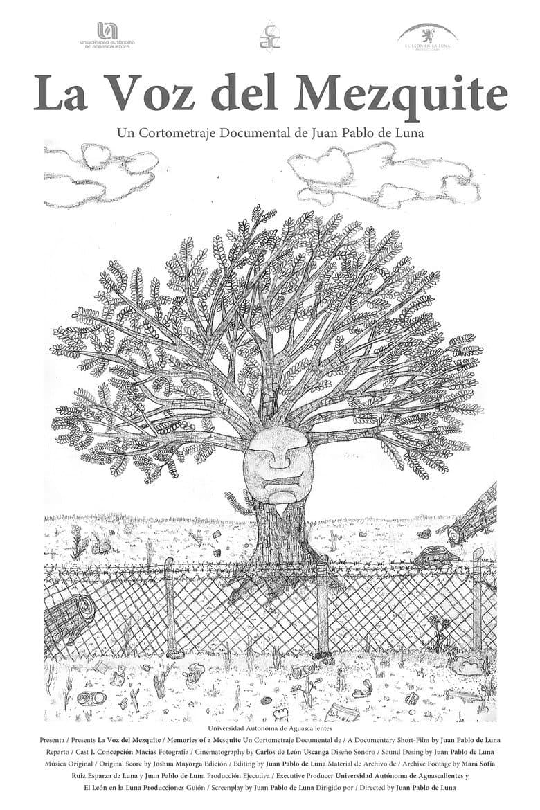 Memories of a Mesquite