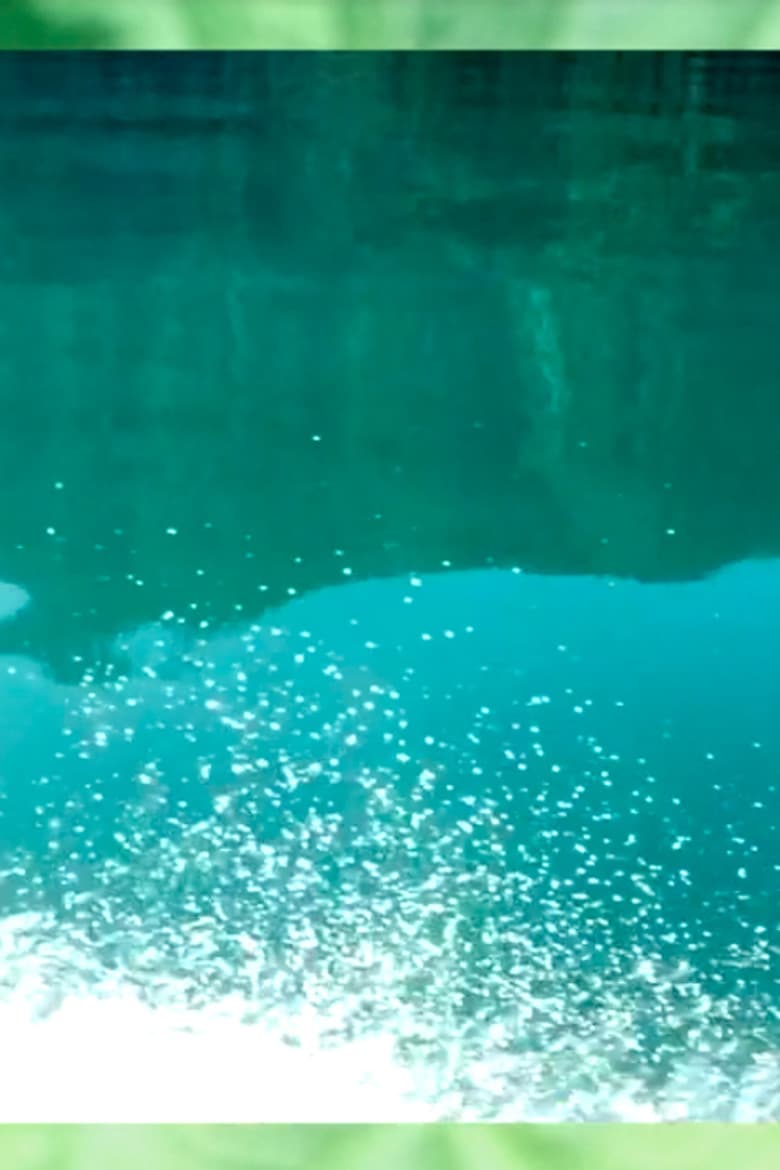 Digging Up the Last Spike