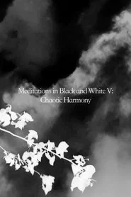 Meditations in Black and White V: Chaotic Harmony