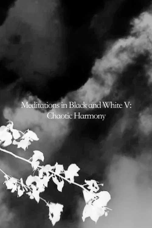 Meditations in Black and White V: Chaotic Harmony