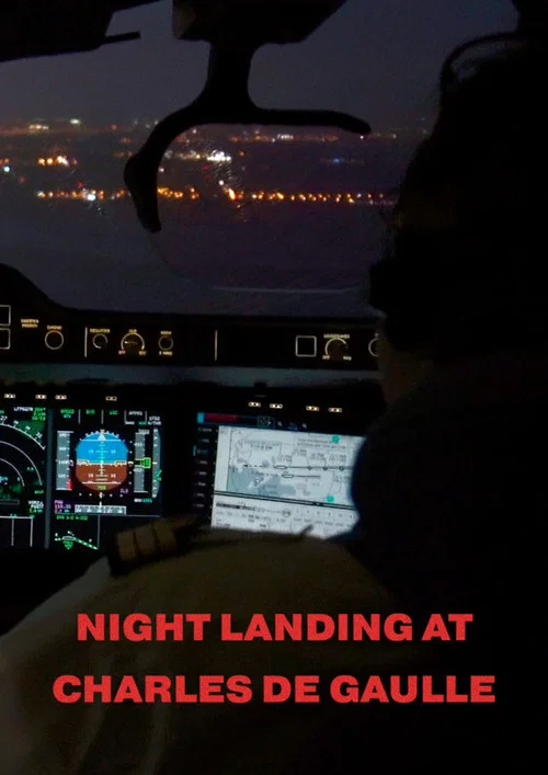 Night Landing At Charles De Gaulle