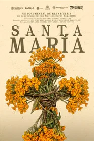 Santa María