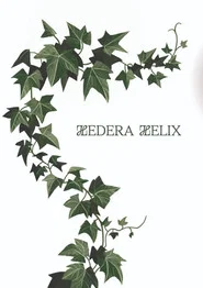 Hedera Helix