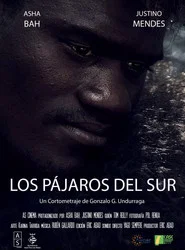 Los Pájaros del Sur