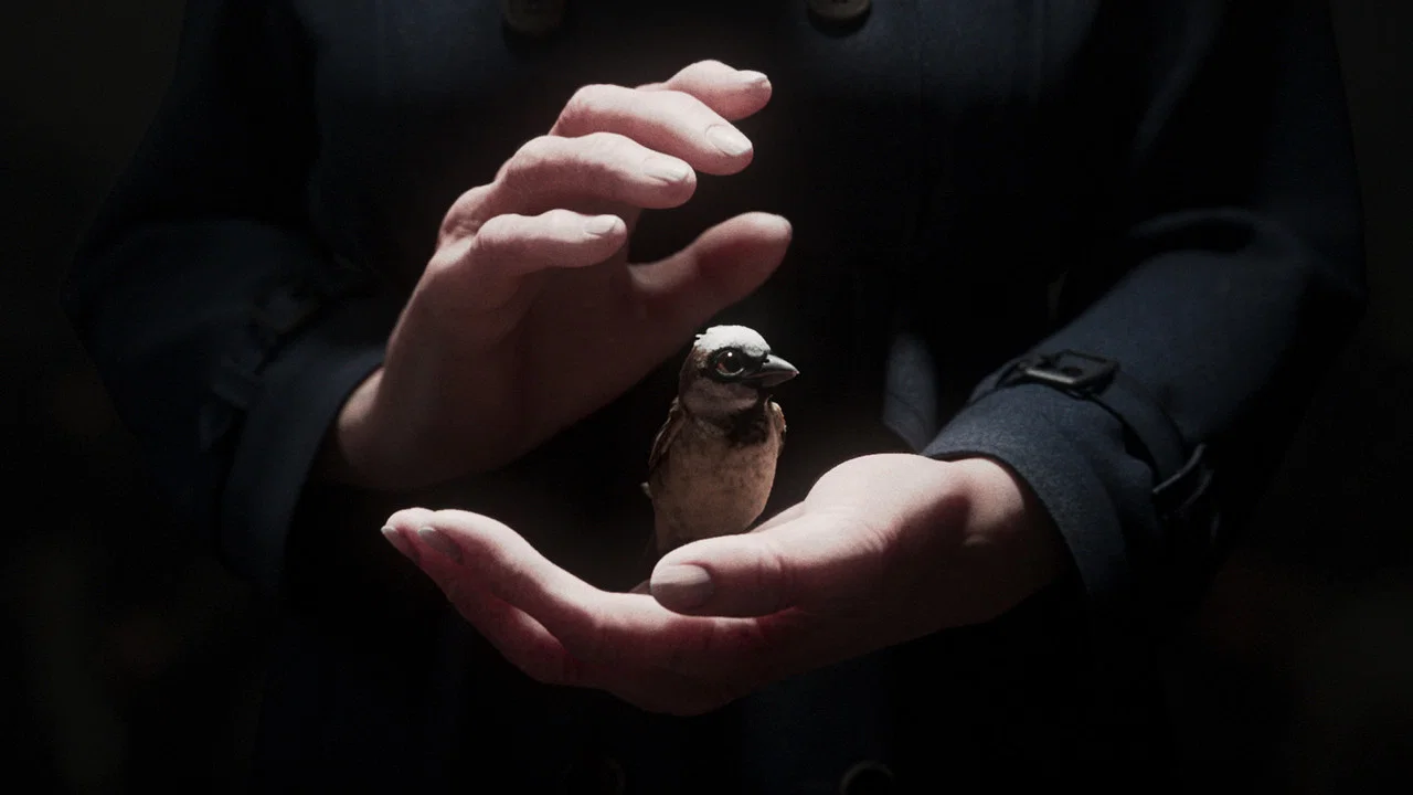 A Sparrow's Song