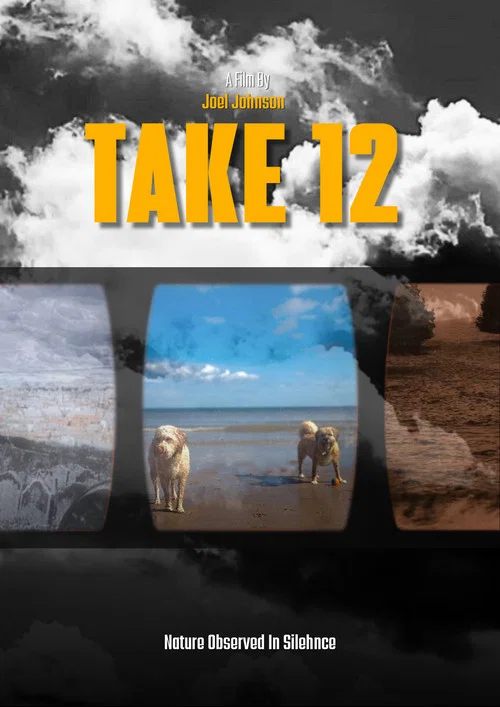 Take 12