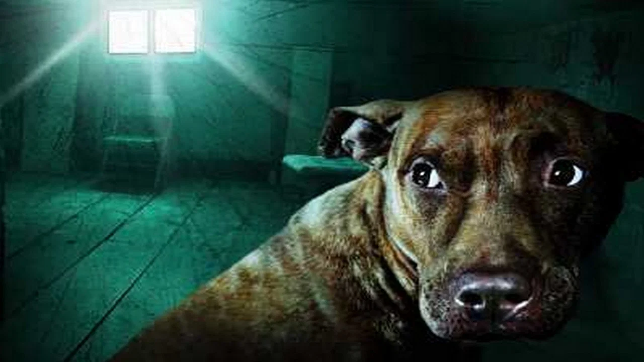 The Haunted