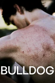 Bulldog