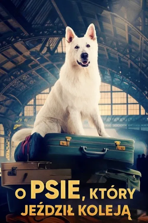 Lampo, the Travelling Dog