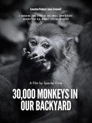 30,000 Monkeys in Our Backyard
