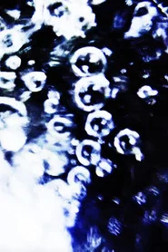 2025.03.17