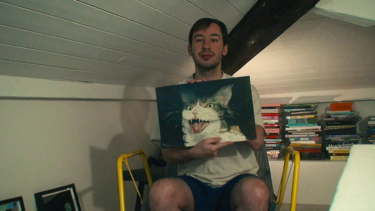 How To Save A Cat?