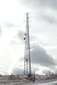 Cellular