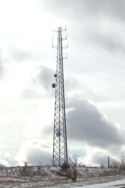 Cellular