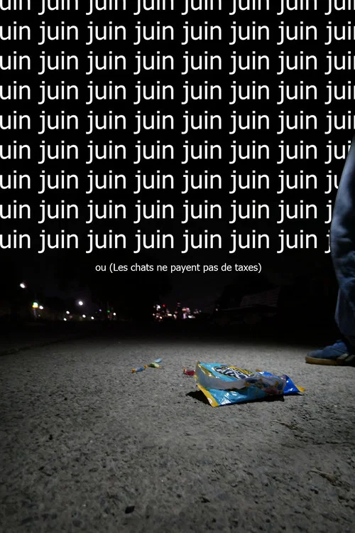 Juin ou (Les chats ne payent pas de taxes)
