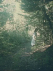 To the Forest