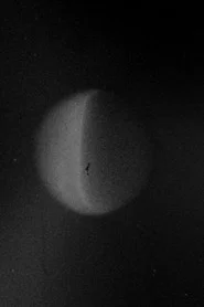 Lunario