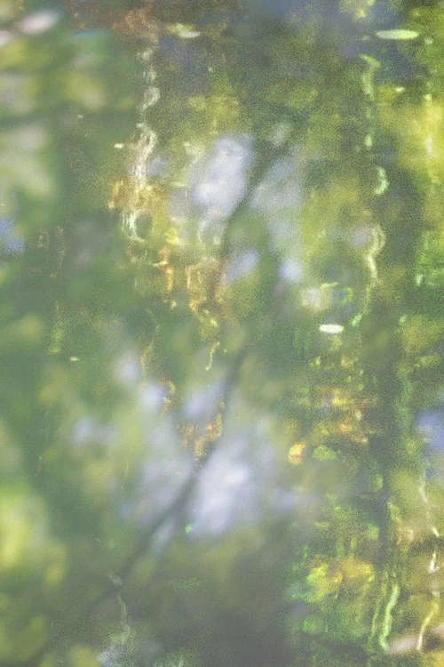 Printemps