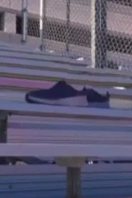 Kicks