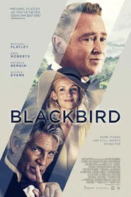 Blackbird