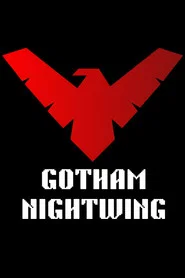 Gotham Nightwing