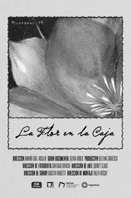 The Flower in the Box