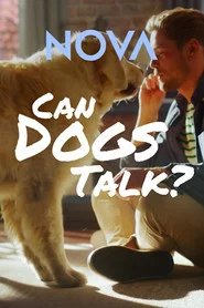 Can Dogs Talk?