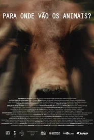 Para Onde Vão Os Animais