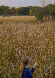 Wheat and Chaff