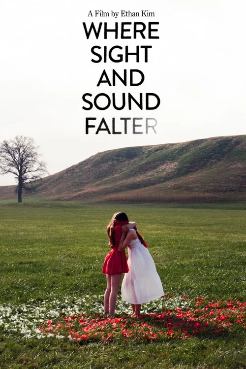 Where Sight and Sound Falter