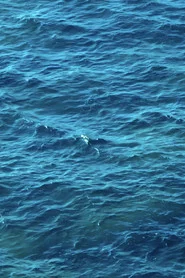 Desde la mar