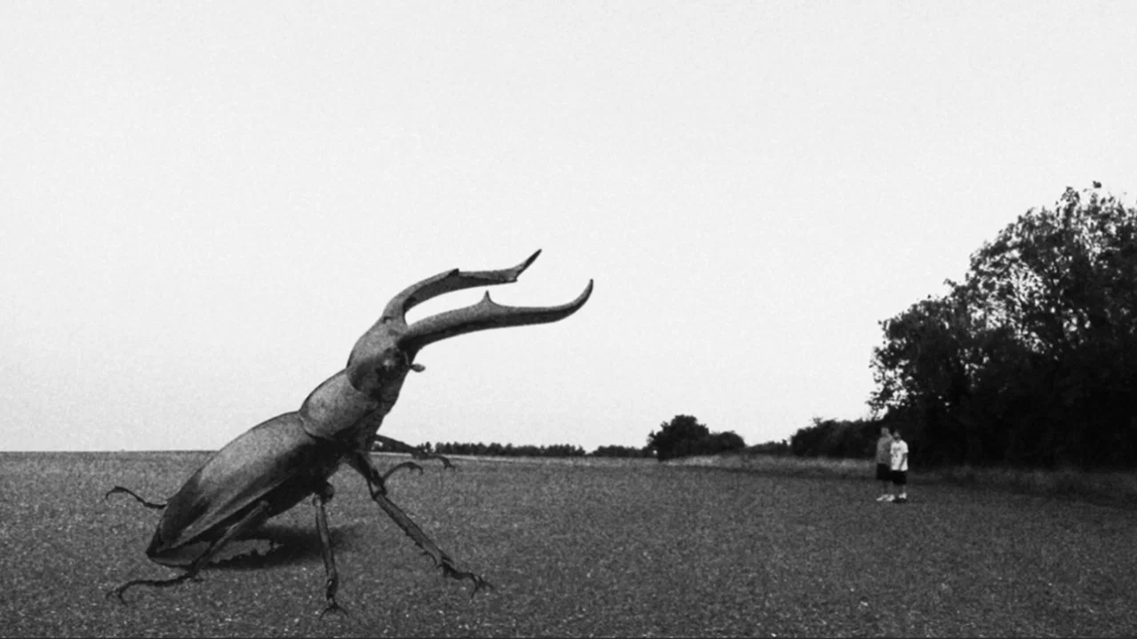 Unto Insecta