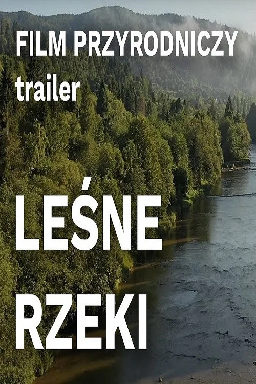 Leśne rzeki