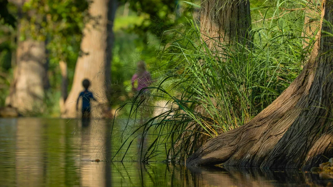 Hope For The Guadalupe