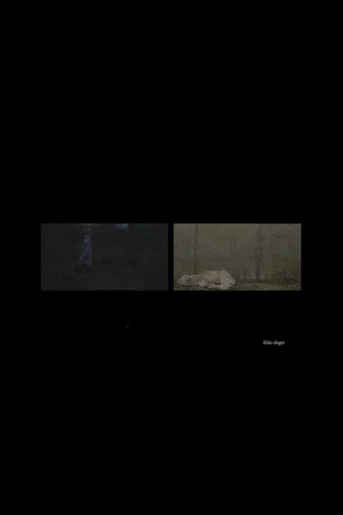 Ikke-dager