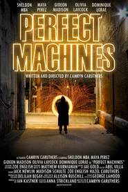 Perfect Machines