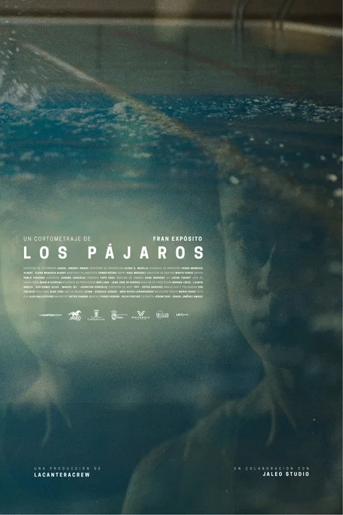 Los pájaros