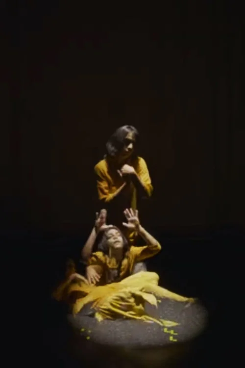 Pataka