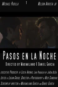 Pasos en la noche