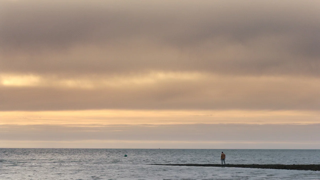 Sharks in Colwyn Bay