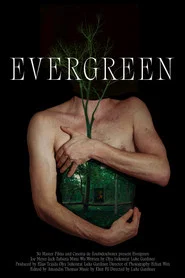 Evergreen
